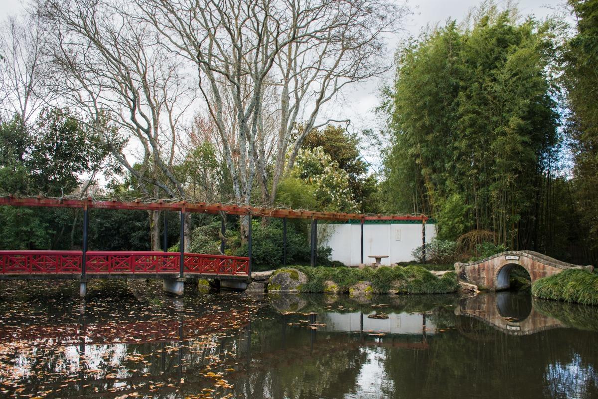 Chinese garden in Hamilton gardens - lake, red pier, stone bridge (a must stop at New Zealand North Island Road Trip)