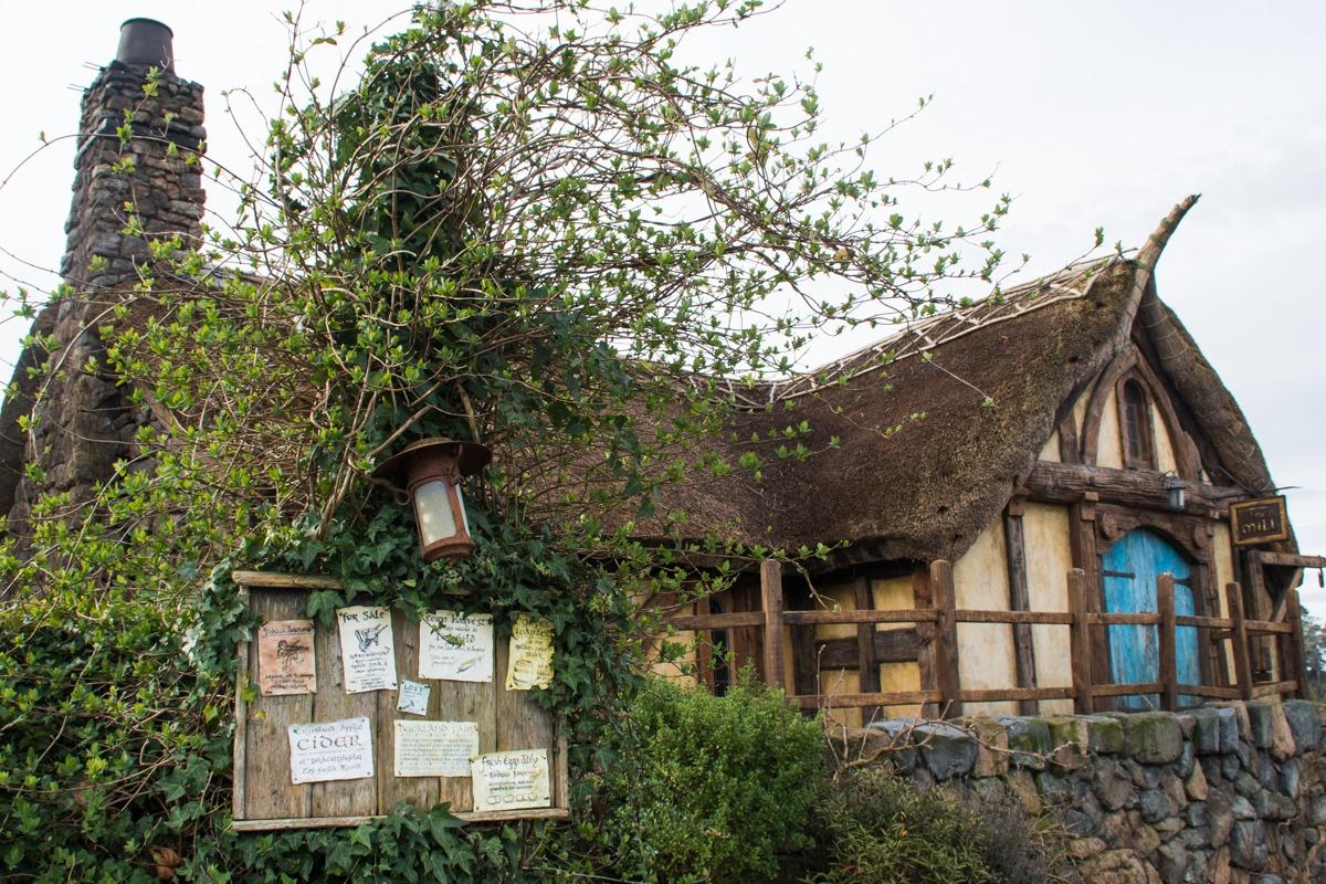 Green Dragon - Pub in Hobbiton