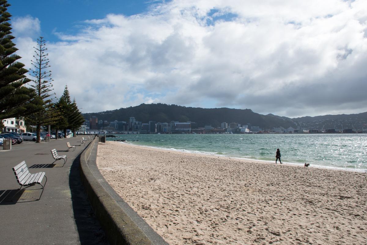 Wellington coastal walk