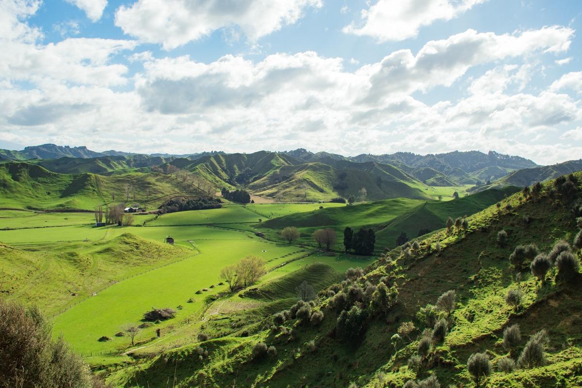 Green hills along The Forgotten World Highway (a must stop at New Zealand North Island Road Trip)