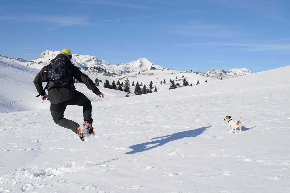 Velika Planina in winter